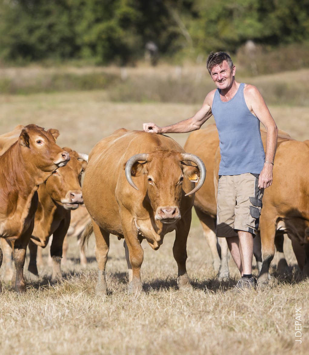 Ferme Manahan Saint Bonnet de Bellac