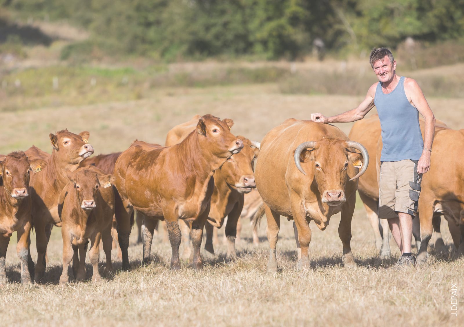 Maison Manahan et producteur limousin